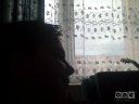 sarkiz