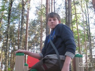 vilkins
