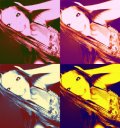 Lile  !  :*