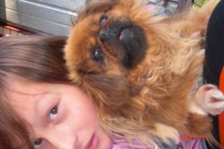 Kamiliux-Chris  Brown  Forever;*