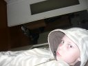 dens