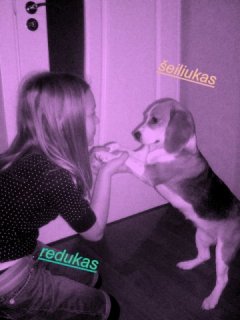 Reda*