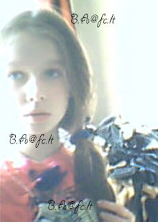 Nauja  anketa  :  Ais_
