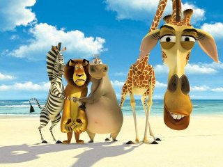 Madagascar  Fan`s  Page;)
