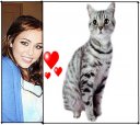 Radiate  Love  ;)  Miley  &  Catz
