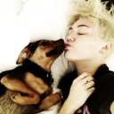 Miley  Cyrus  ♫