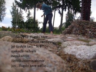 modesta147