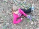ivona12